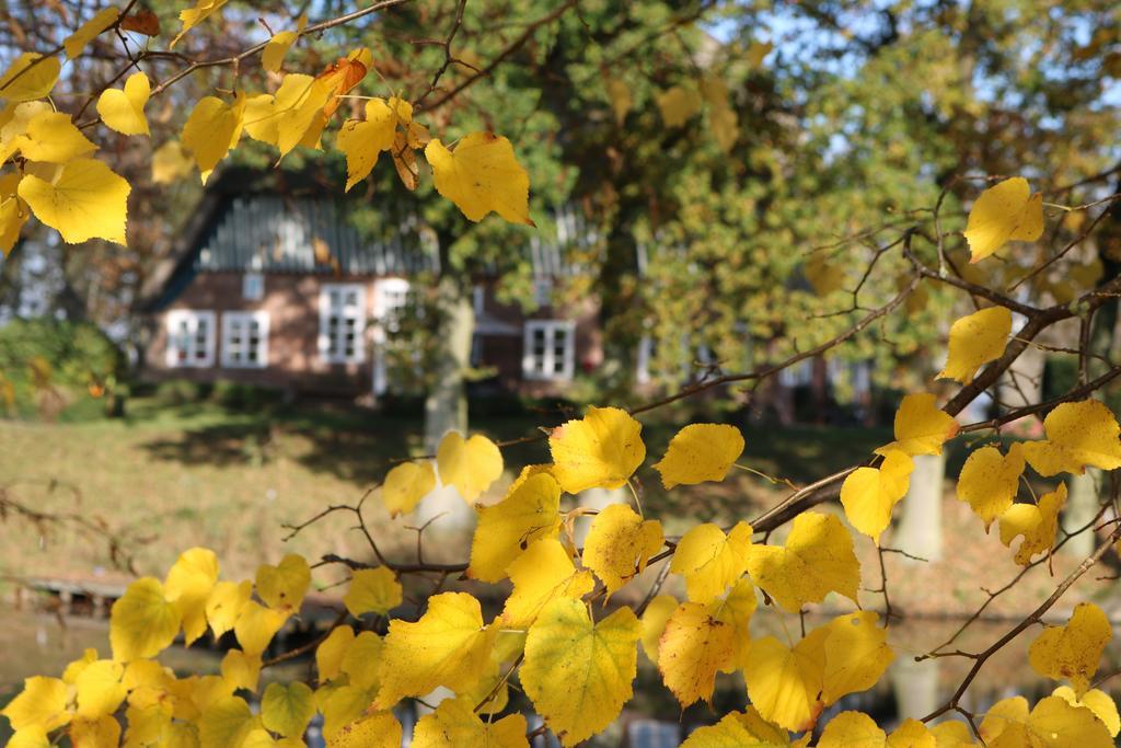 Villa Bielenberg 37 Kollmar Esterno foto
